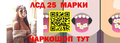 альфа пвп Аргун